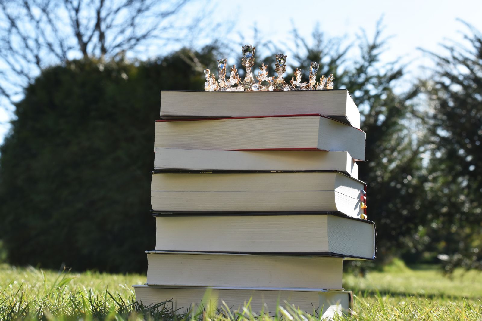 Blogger_innensonntag - Klischees in der Buch-/Bloggerszene